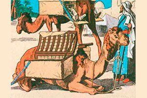 Медслужба Египетской экспедиции