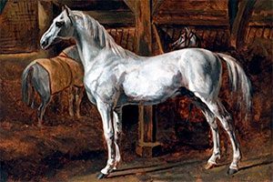 Лошадь в армии Наполеона